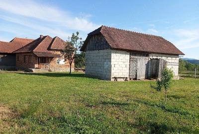 Casă cu 2 camere cu Teren 4707 Mp în Hălmăgel - 10