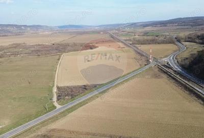 Teren de 19319 mp, în Hoghilag - 6