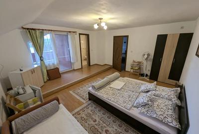 Vand casa spatioasa cu teren in Hateg - 3