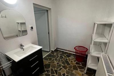 Apartament cu 2 camere semidecomandat în Clinceni - 6
