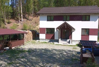 Vanzare Vila P + 1 mobilata si utilata, Localitatea Porumbacu de Sus, Jud. Sibiu - 11