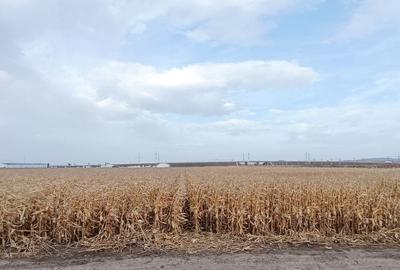 Teren intravilan industrial,str.Durau - 5