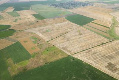 Teren de 400000 mp, în Zărand - 1