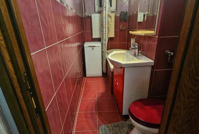 Apartament 2 camere de vânzare – Malu Roșu | Etaj 1 | Exclusivitate - 11