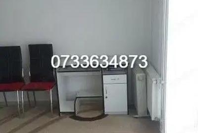 Apartament de inchiriat cu o camera in zona Baciu - 4