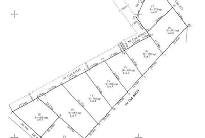 Teren intravilan 500 mp, panorama oras,Tomesti Teren intravilan 500 mp, panorama oras,Tomesti - 3