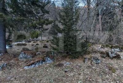 Casa de vacanta de vanzare in Rasnov - Brasov - 7