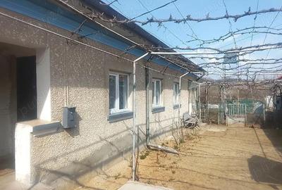 Casă cu Teren 1100 Mp în Breasta - 4