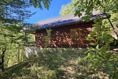 Cabana Lep?a, jud. Vrancea - Cheile Ti?i?ei - 4