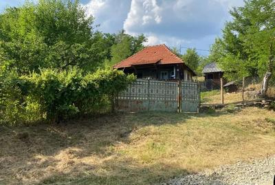 Casă cu 2 camere în Blahnița de Sus - 10