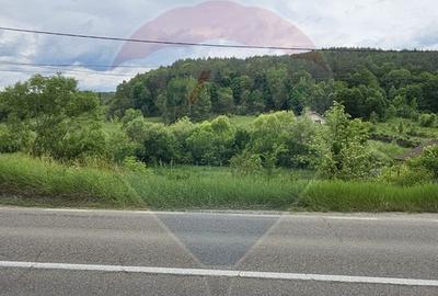 Teren Construcții intravilan de 7797 mp, în Podiș - 1