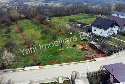 Teren de vanzare in comuna Valea Iasului, sat Cerbureni, jude? Arge?. - 3