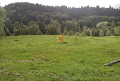 Teren de 1500 mp, în Central - 3