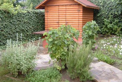 Vand casa 4 camere in Otopeni-Ferme sau cu apartament in Bucuresti plus diferenta - 10