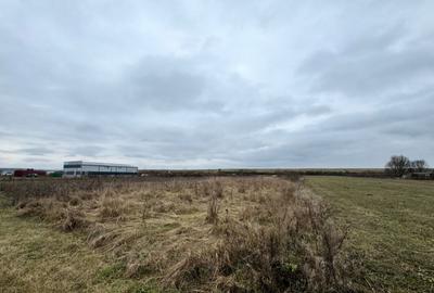 Teren de 2800 mp, în Satulung - 3