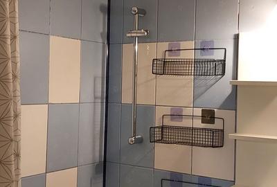 Apartament cu 2 camere decomandat în Valea Oltului - 7
