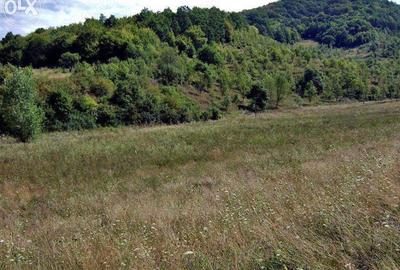 Teren de 30000 mp, în Nord - 3