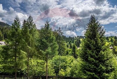 Casă individuală cu 20 camere cu Teren 10330 Mp în Central - 17