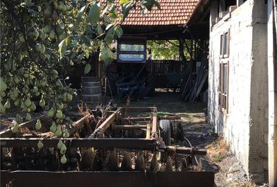 Casă cu 5 camere cu Teren 5500 Mp în Teslui - 2