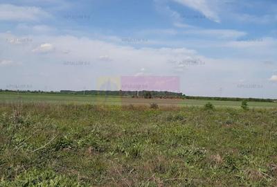 Teren aproape de Bucuresti langa padure intre case - 3