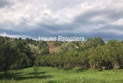 Vanzare Terenur Drajna  Prahova - 8