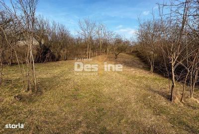 Spațiu comercial, în Albești