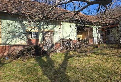 Casă cu 3 camere cu Teren 2500 Mp în Pietroasa - 2