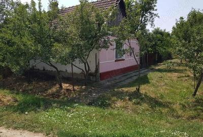 Casă cu 3 camere cu Teren 1200 Mp în Otvești - 8