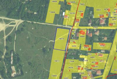 Teren Construcții extravilan de 4000 mp, în Bucium - 2