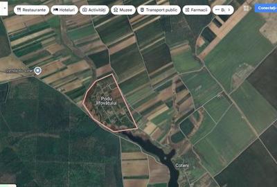 Teren Construcții intravilan de 953 mp, în Podu Ilfovățului