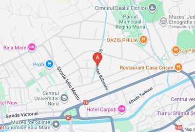 Casa cu 3 apartamente - locatie unica in Baia Mare
