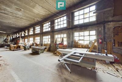 Fabrica de prelucrare a lemnului ?i palului - 11