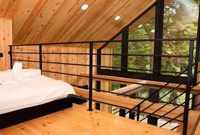 Cabane scandinave premium, vedere catre padure investi?ie turistica in Sinaia - 7