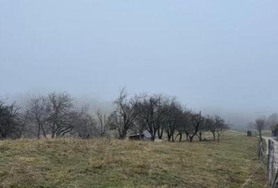 Teren Poiana Marului -Zarnesti -Brasov - 12