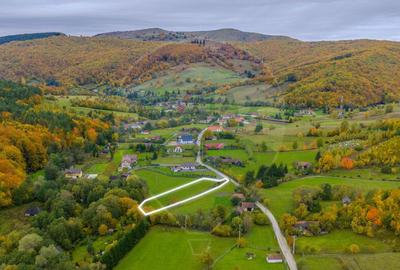 COMISION 0% Teren 3,109mp Dobarlau/ Par?ial intravilan - 2