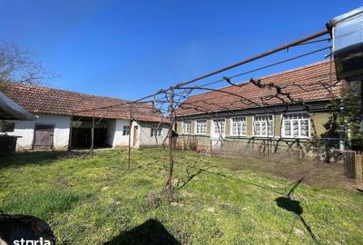 Casă cu 3 camere cu Teren 1500 Mp în Saca - 4