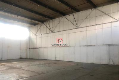 Depozit/hala/spatiu industrian/showroom Otopeni - Odai - Ce - 2