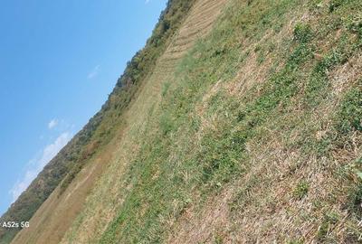 Vand teren intravilan in Panic - 1