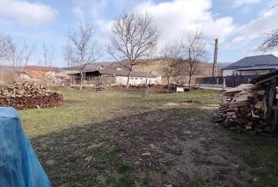 Casă cu Teren 830 Mp în Șimișna
