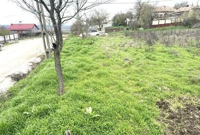 Teren de 555 mp, în Cornetu - 2