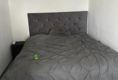 Apartament 2 camere aleea teilor - 4