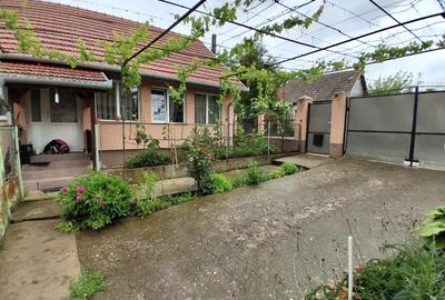 2 Case de vanzare in Paleu-zona Stadionului de Fotbal - 3