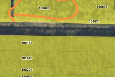 Teren de 1600 mp, în Voila - 2