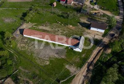 Casă cu 3 camere cu Teren 5039 Mp în Pianu - 9