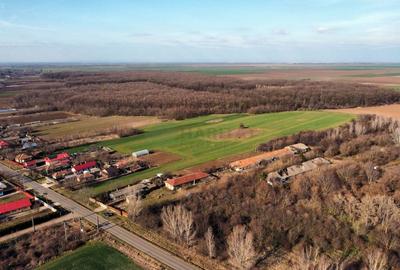 Ferma si livada de meri in judetul Ilfov - 7