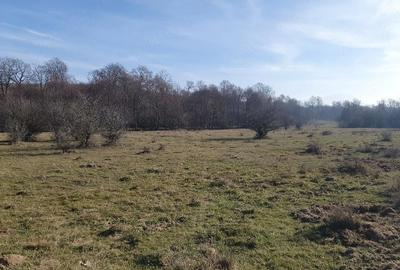 Teren de 4100 mp, în Vlădeni - 2