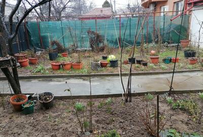 Casă individuală cu 2 camere cu Canalizare în Băneasa - 5