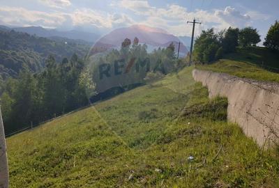 Teren agricol extravilan de 2000 mp, în Peștera - 3