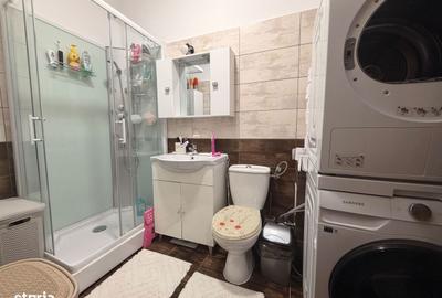 Apartament cu 2 camere, mobilat în Rahova - 2