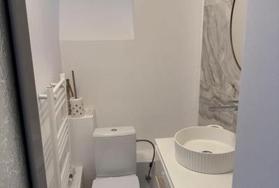 Spațiu comercial, de 35 mp, în Alba Iulia - 2